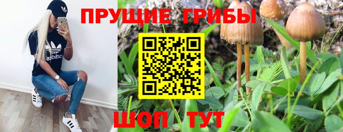 Галлюциногенные грибы MAGIC MUSHROOMS  Вход с VPN  Галлюциногенные грибы Psilocybe  Октябрьский 