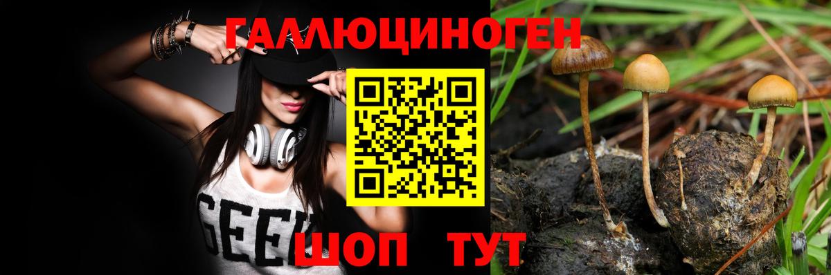 Псилоцибиновые грибы прущие грибы Октябрьский
